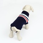 Свитер «Полоски», S (ДС 23, ОШ 23, ОГ 26-45 см), синий - Фото 4