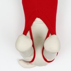 Свитер «Полоски», S (ДС 23, ОШ 23, ОГ 26-45 см), красный - Фото 5