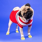 Свитер «Полоски», M (ДС 26, ОШ 26, ОГ 28-46 см), красный - Фото 1