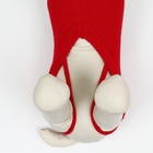 Свитер «Полоски», L (ДС 29, ОШ 29, ОГ 29-49 см), красный - Фото 5