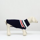 Свитер «Полоски», размер XL, ДС 34, ОШ 34, ОГ 32-51 см, синий - Фото 3