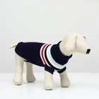 Свитер "Полоски", 2XL (ДС 41, ОШ 41, ОГ 36-60 см), синий - Фото 2