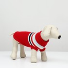 Свитер «Полоски», 3XL (ДС 46, ОШ 46, ОГ 38-64 см), красный - Фото 2