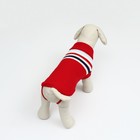 Свитер «Полоски», 3XL (ДС 46, ОШ 46, ОГ 38-64 см), красный - Фото 4