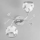 Люстра Адриан 2хE27 40Вт хром 30х22х16 см BayerLux - фото 22142895