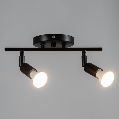 Спот «Дарни» 2xGU10 35 Вт черный 27×10×10 см