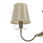 Люстра "Авиталь" 5xЕ14 40Вт бронза 58х58х80 см BayerLux 9113075 - фото 14174685