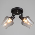 Люстра "Илария" 2xЕ27 40Вт черный 30х18х20 см BayerLux - фото 22143115