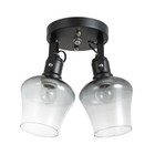 Люстра "Илария" 2xЕ27 40Вт черный 30х18х20 см BayerLux - фото 22143117