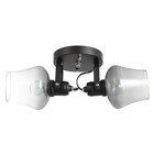 Люстра "Илария" 2xЕ27 40Вт черный 30х18х20 см BayerLux - фото 22143118