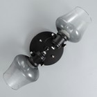 Люстра "Илария" 2xЕ27 40Вт черный 30х18х20 см BayerLux - фото 22143119