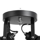 Люстра "Илария" 2xЕ27 40Вт черный 30х18х20 см BayerLux - фото 22143120