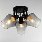 Люстра «Илария» 3xЕ27 40 Вт черный 30×30×20 см BayerLux - фото 22143126