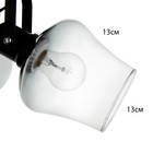 Люстра «Илария» 3xЕ27 40 Вт черный 30×30×20 см BayerLux - фото 22143130