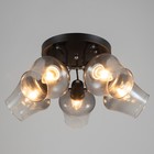 Люстра «Илария» 5xЕ27 40 Вт черный 35×35×20 см BayerLux - фото 22143133