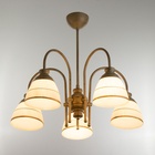 Светильник потолочный BayerLux «Дэфия», люстра 5×Е27, 40 Вт, золото, 57×57×40 см - фото 22143196