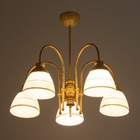 Светильник потолочный BayerLux «Дэфия», люстра 5×Е27, 40 Вт, золото, 57×57×40 см - фото 22143197