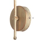 Бра "Дэфия" Е27 40Вт золото 23,5х13х23 см - фото 22143203