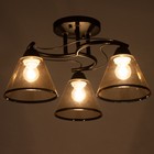 Люстра «Эдотт» 3хЕ27 40 Вт черный 43×43×25 см BayerLux - Фото 3