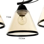 Люстра «Эдотт» 3хЕ27 40 Вт черный 43×43×25 см BayerLux - Фото 6