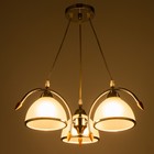 Светильник "Киан" 3хЕ27 40Вт серебро 51х51х60 см BayerLux - фото 24246536