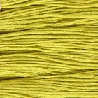 Нитки мулине, 8 ± 1 м, цвет графит ярко-салатовый №3819 - фото 10405948