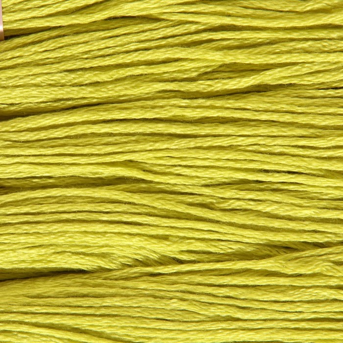 Нитки мулине, 8 ± 1 м, цвет графит ярко-салатовый №3819