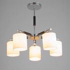 Люстра "Техник" 5х60Вт е27 хром/черный 50х50х39см 9568050