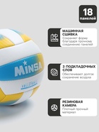 Волейбольный мяч MINSA, машинная сшивка, 18 панелей, р. 5, PVC - Фото 2