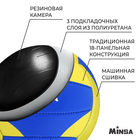 Мяч волейбольный MINSA, PU, машинная сшивка, 18 панелей, р. 5 - фото 6877258