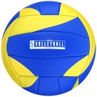 Мяч волейбольный MINSA, PU, машинная сшивка, 18 панелей, р. 5 - фото 6877261