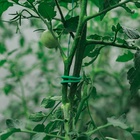 Проволока подвязочная, 5 м, d=3 мм, мягкая, Greengo - Фото 8