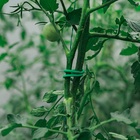 Проволока подвязочная, 10 м, d=3 мм, мягкая, Greengo - Фото 8