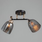 Люстра "Нина" 2х60Вт Е27 черный/золото 50х27х22см - фото 43266420