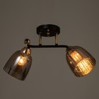 Люстра "Нина" 2х60Вт Е27 черный/золото 50х27х22см - фото 43266421