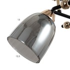 Люстра "Нина" 2х60Вт Е27 черный/золото 50х27х22см - фото 43266424