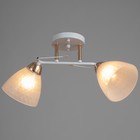 Люстра "Наталья" 2х60Вт Е27 белый/золото 46х25х26см - фото 39075426