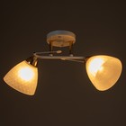 Люстра "Наталья" 2х60Вт Е27 белый/золото 46х25х26см - фото 39075427