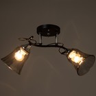 Люстра "Лиза" 2х60Вт Е27 черный/хром 45х18х24см - фото 40549565