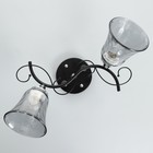 Люстра "Лиза" 2х60Вт Е27 черный/хром 45х18х24см - фото 40549566