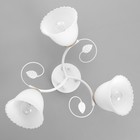 Люстра "Луиза" 3х60Вт Е27 золото/белый 48х48х24см - фото 47645984