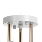 Люстра "Луиза" 3х60Вт Е27 золото/белый 48х48х24см - фото 47645985