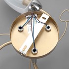 Люстра "Море" 3х60Вт Е14 золото 52х52х17см SVK - фото 24246608