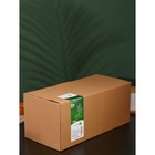 Набор кружек на бамбуковой подставке BellaTenero «Тюльпан», 6 предметов: 300 мл, фарфор, белый - Фото 6