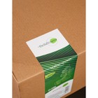 Набор кружек на бамбуковой подставке BellaTenero «Тюльпан», 6 предметов: 300 мл, фарфор, белый - Фото 7