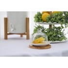 Лимонница BellaTenero, 12.5×9 см, на бамбуковой подставке, фарфор, стекло, белая - Фото 6