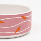 Миска керамическая "Зайчик с морковками" 300 мл, 13 x 13 x 5 cм, розовая - Фото 1