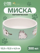 Миска керамическая «Котяры» 300 мл - 12.5×12.5×4.5 см, зелёная/белая - Фото 1