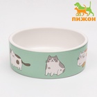 Миска керамическая «Котяры» 300 мл - 12.5×12.5×4.5 см, зелёная/белая - Фото 2