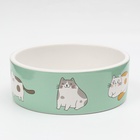 Миска керамическая «Котяры» 300 мл - 12.5×12.5×4.5 см, зелёная/белая - Фото 4